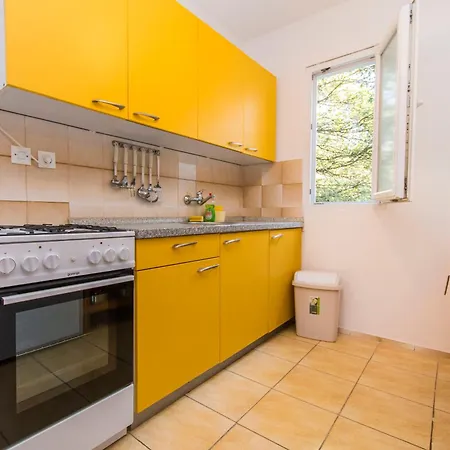 Family Ribicic Apartman Mandre