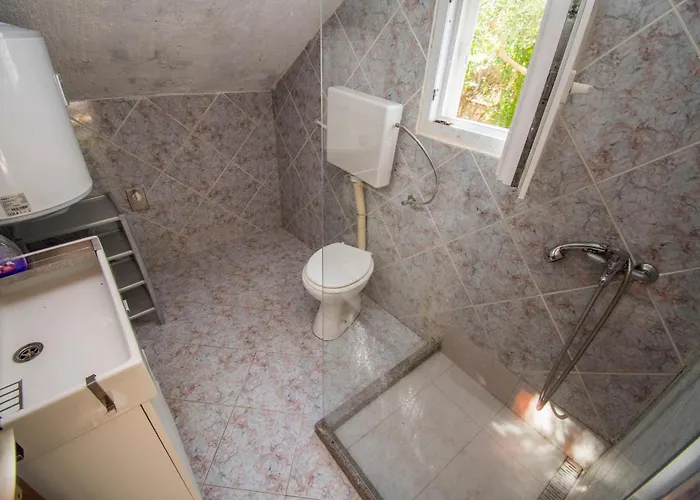 Apartman Family Ribicic Mandre